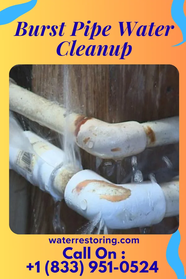Burst Pipe Water Cleanup in Manderson, WY