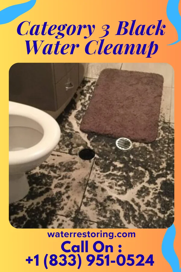 Category 3 Black Water Cleanup in Manderson, WY