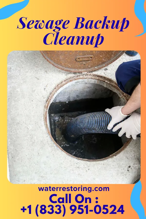 Sewage Backup Cleanup in Manderson, WY