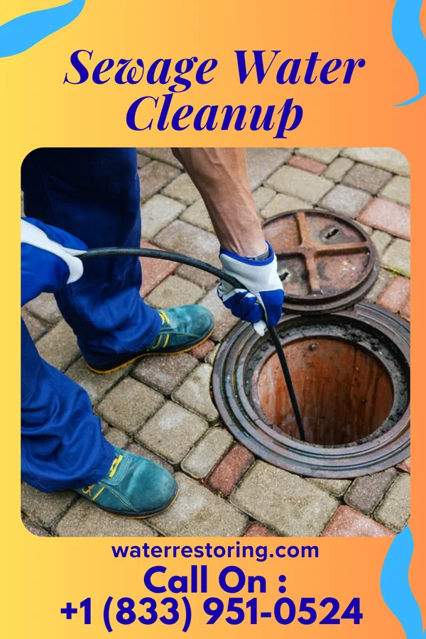 Sewage Water Cleanup in Manderson, WY