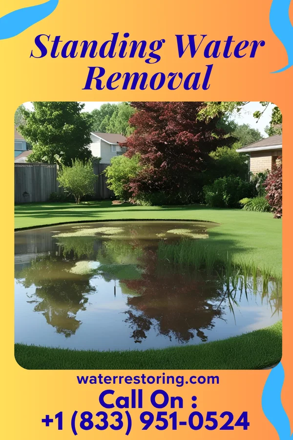 Standing Water Removal in Manderson, WY